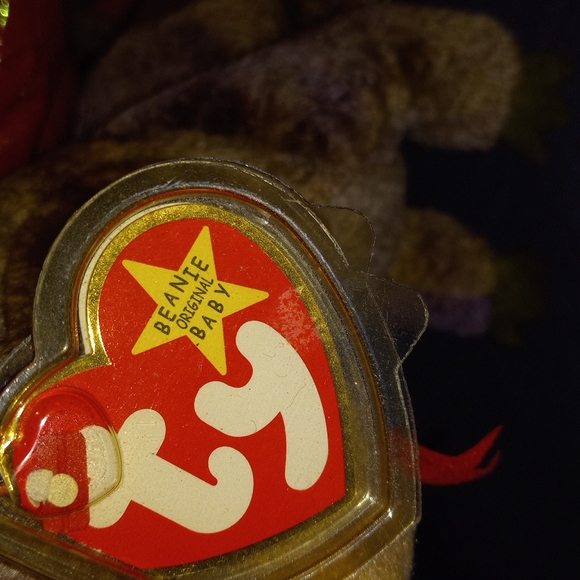 Ty Scorch. - Picture 3 of 4